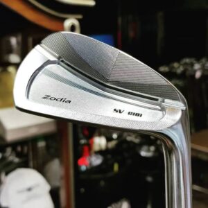 SV-C101 irons